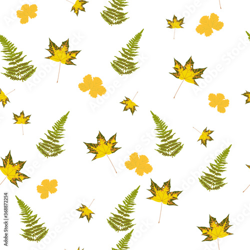 Vector stock illustration seamless pattern with autumn maple leaves branches of green fern orange, beige, brown and yellow colors. Perfect for wallpaper, gift paper, pattern fills, web page background