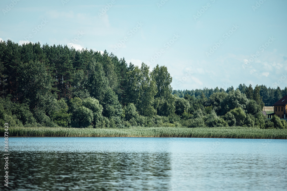 overgrown grassy shore, summer landscape with a calm river with water views of the lake and the shore from the water overgrown grassy shore, summer landscape with a calm river with water views of the lake and the shore from the water
