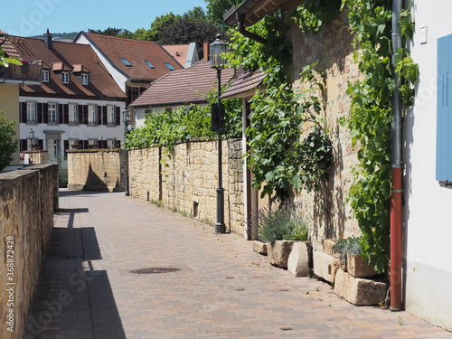Deidesheim     Rieslingstadt in Rheinland-Pfalz
