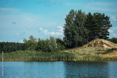 overgrown grassy shore, summer landscape with a calm river with water views of the lake and the shore from the water