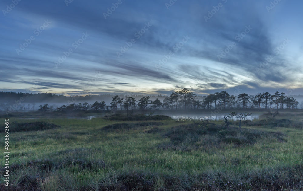 Blue grey light in wetland landscape after sundown. Kakerdaja Raised bog in Estonia. Sunset glow over marsh hollows. Night fog covering bog lakes. Interesting clouds in the skies. Blue grey light in wetland landscape after sundown. Kakerdaja Raised bog in Estonia. Sunset glow over marsh hollows. Night fog covering bog lakes. Interesting clouds in the skies.