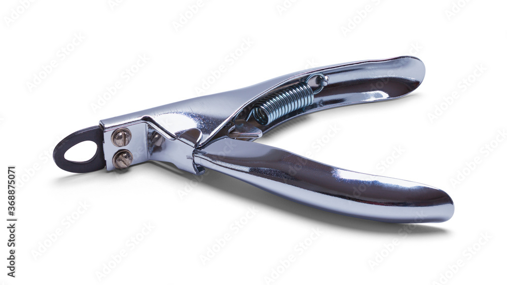 Obraz premium Dog Nail Clippers