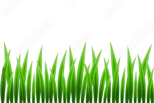 Seamless border pattern of bright green grass