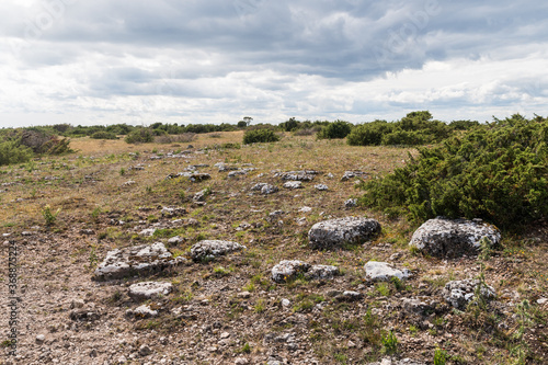 World Heritage landscape at Stora Alvaret in Sweden