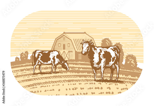 Cows graze in the meadow sketch. Dairy farm, food concept