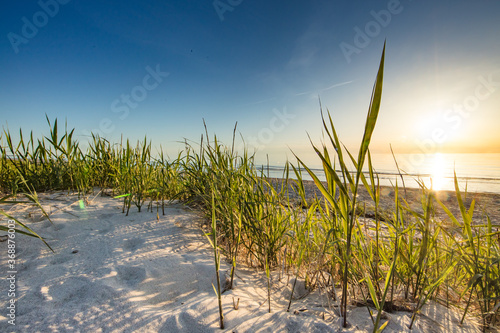 Fototapeta Naklejka Na Ścianę i Meble -  strand