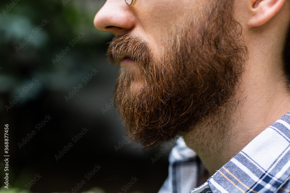 Fototapeta premium Classic male beauty. Brown-haired guy with sideburns, close-up.