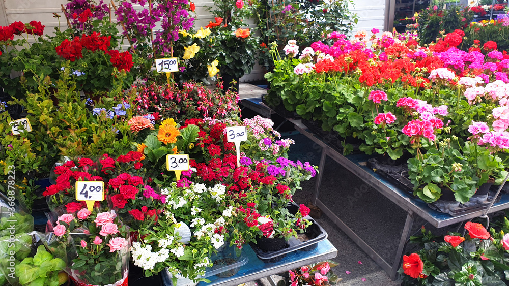 A variety of flowers at the open market in Eurone.