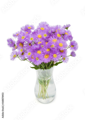 Bouquet of flowers asters alpine perennial pink in vase isolated on white background. Floral pattern  object. Flat lay  top view. Still life