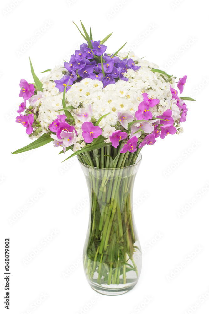 Flower arrangement in bouquet of yarrow and tradescantia in a vase isolated on white background. Floral pattern, still-life, object. Flat lay, top view