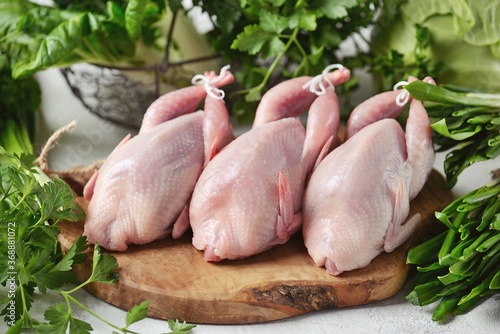 Fresh raw quail on a light background. Organic food.