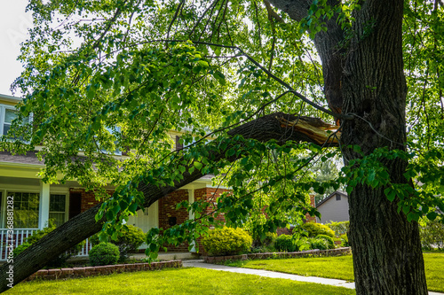 A broken tree limb separated from the trunk hangs down over a green lawn in front of a house after a severe storm