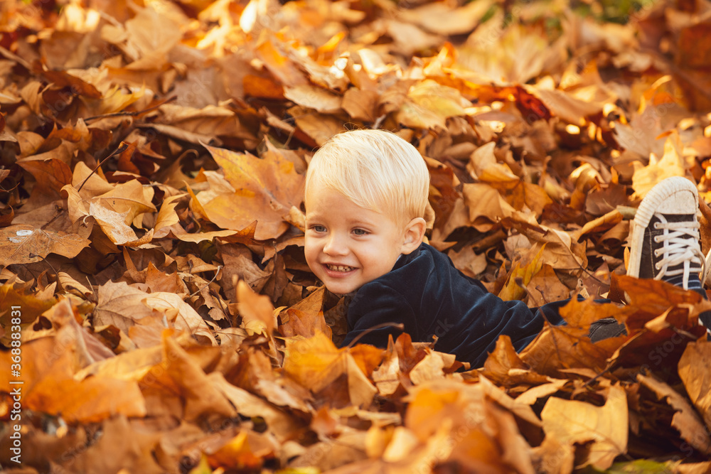 Fall leaves children concept. Child lying on the golden leaf. Boy child with yellow leaf in autumn park. Smile kids face. Fall leaves children concept. Child lying on the golden leaf. Boy child with yellow leaf in autumn park. Smile kids face.