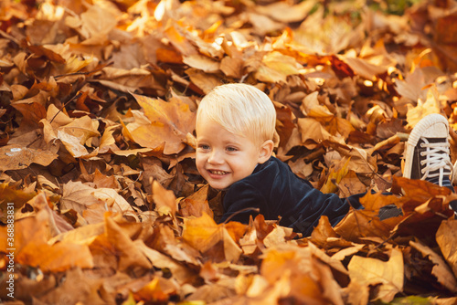 Fall leaves children concept. Child lying on the golden leaf. Boy child with yellow leaf in autumn park. Smile kids face.