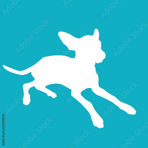 illustration of white puppy dog silhouette and background in blue color