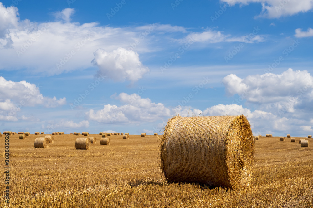 Hay bales on the field after harvest. Beautiful countryside landscape, rural nature in the farm land. Autumn, Harvesting concept.