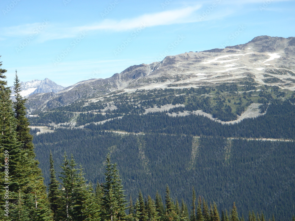 Fototapeta premium Montañas Nevadas de Whistler 
