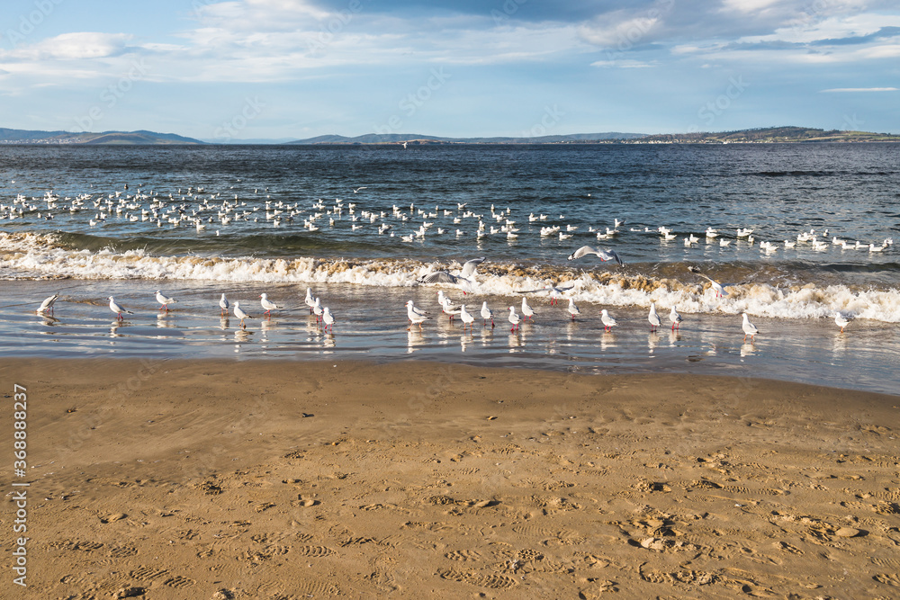Blackmans Bay beach on a sunny winter day in South Hobart in Tasmania