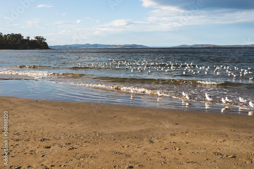 Blackmans Bay beach on a sunny winter day in South Hobart in Tasmania © faithie