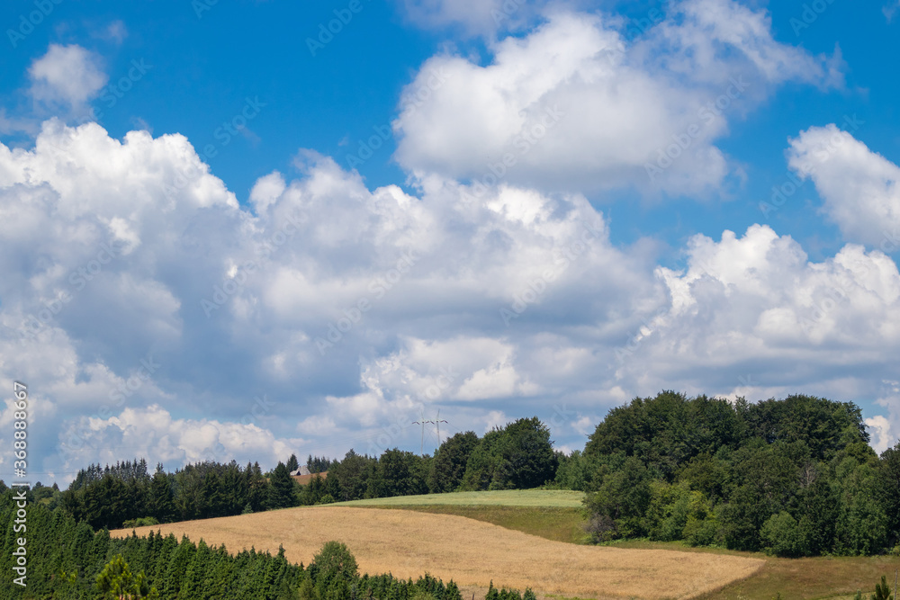 Landscape with hills, meadow, and forest on a summer day and beautiful cloudy sky in national park Tara, Serbia Landscape with hills, meadow, and forest on a summer day and beautiful cloudy sky in national park Tara, Serbia