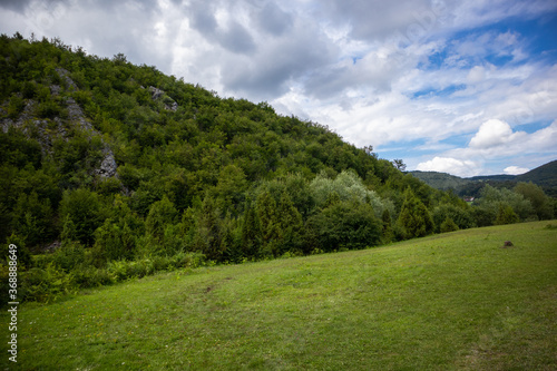 Beautiful pasture with green grass on a mountain on a sunny summer day. Landscape meadow and cloudy sky