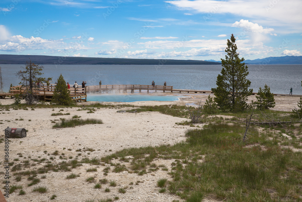 West Thumb Geyser Basin with the Black Pool in the background, Yellowstone National Park
