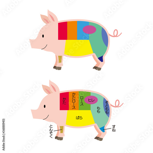 豚肉の部位解説画像