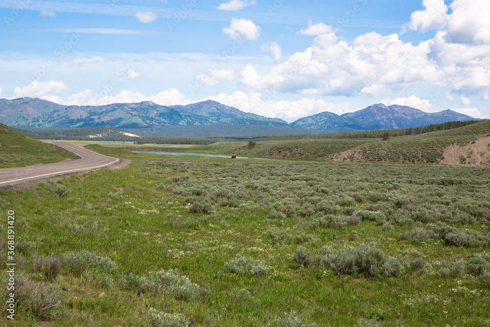 Hayden Valley, Yellowstone National Park, Wyoming, USA Hayden Valley, Yellowstone National Park, Wyoming, USA