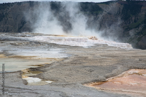 Travertine terraces, Mammoth Hot Springs, Yellowstone National Park, Wyoming, USA