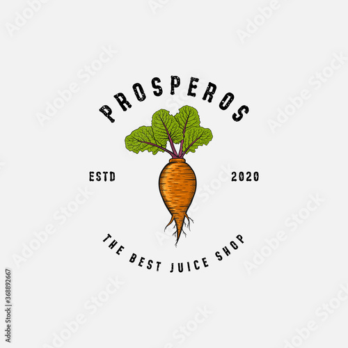 Abstract Carrot With Beet Leaf Vintage Logo Design Illustration For Juice Shop Or Farm