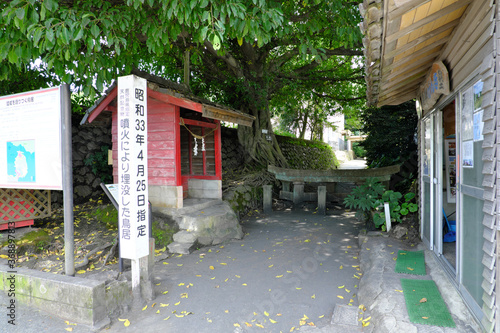 鹿児島の桜島にある灰に埋まった黒神神社の埋没鳥居