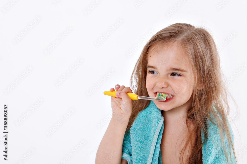 a little girl brushes her teeth on a white background. portrait of a child with a yellow toothbrush. blue towel around her neck. morning hygiene procedures a little girl brushes her teeth on a white background. portrait of a child with a yellow toothbrush. blue towel around her neck. morning hygiene procedures