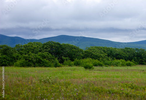 beautiful summer landscape with mountains in the distance