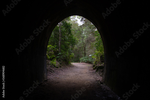 Tunnel in the forest