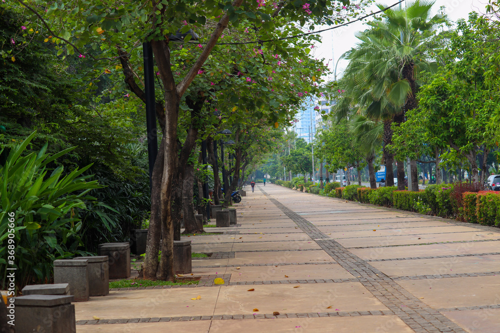 wide and beautiful sidewalks with shady trees make pedestrians comfortable on the merdeka street south of Jakarta