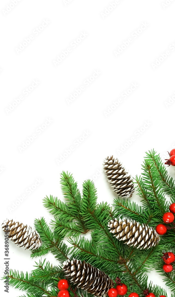 Christmas background isolated top view, copy space on white backdrop. Xmas fir branches, red berries and cones frame. flat lay Christmas background isolated top view, copy space on white backdrop. Xmas fir branches, red berries and cones frame. flat lay