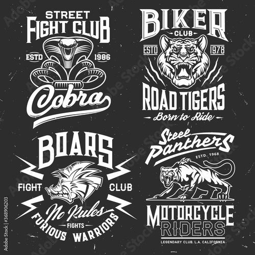 Tiger, cobra, panther and boar t-shirt print vector mockup of fight sport and biker club custom apparel template. Wild aggressive animal and attacking snake grunge badges with lettering