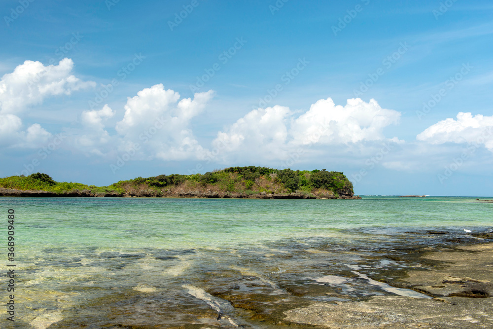Fototapeta premium 沖縄県 西表島の星の砂海岸