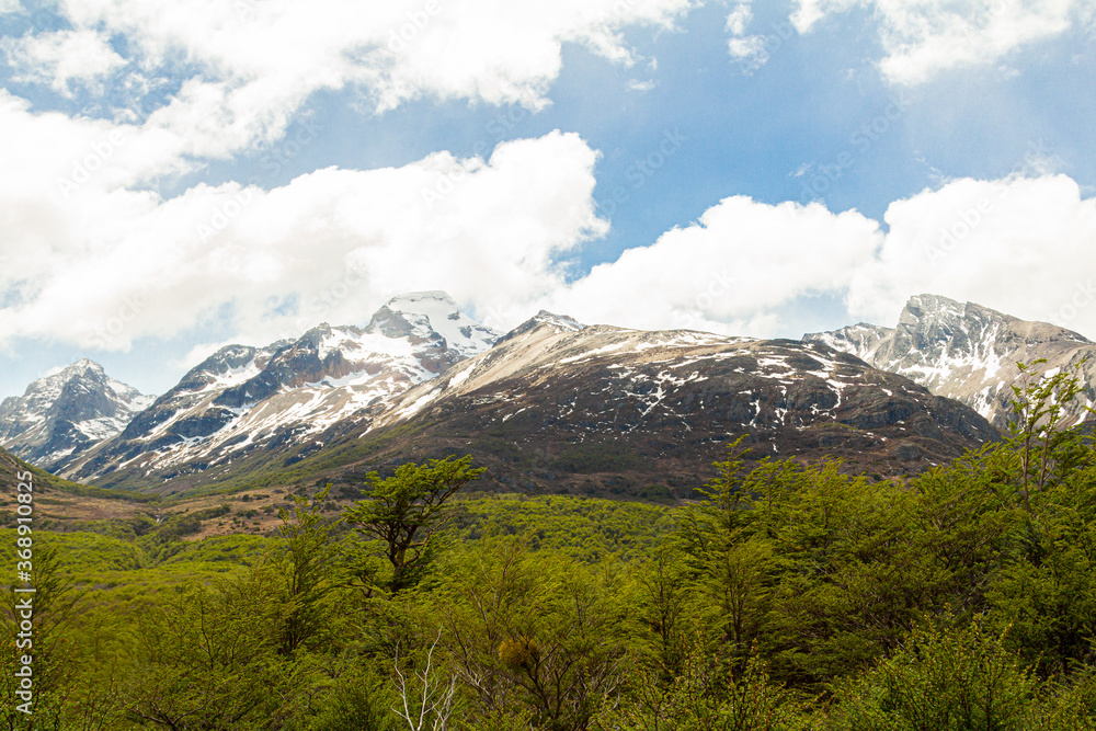 Fototapeta premium paisagem comum na Patagônia, florestas verdes, com belas montanhas com neve no fundo