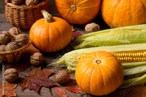Autumn harvest. Nuts  corn  pumpkins on a wood background.