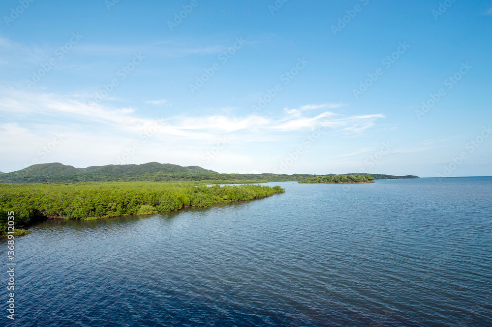 沖縄県　西表島の後良川のマングローブ群生地