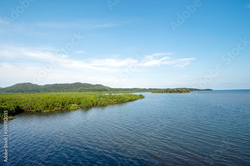 沖縄県 西表島の後良川のマングローブ群生地