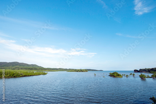 沖縄県　西表島の後良川のマングローブ群生地 © norinori303
