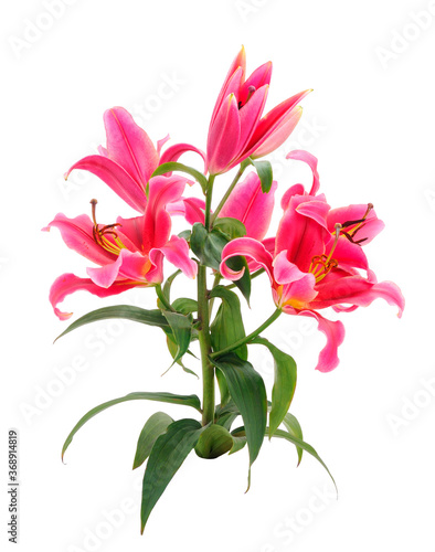 Bouquet of red lilies.