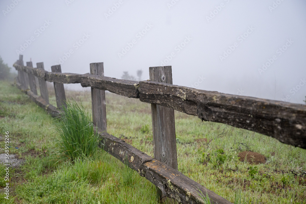 fence in mist 