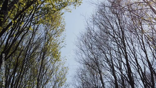 Walking on a country side road, sunny summer day