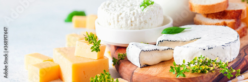 Various cheese on a board, milk, cottage cheese and honey