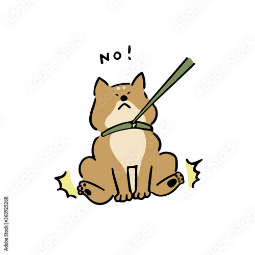 お散歩を拒否する柴犬