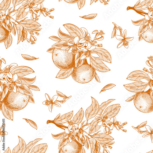 Vector seamless pattern with ink hand drawn orange fruit, leaves, branches and blooming flowers. Botanical drawing sketch of tropical citrus for juice packaging, label, menu in engraving vintage style