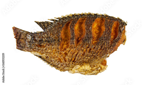 fish isolated on white background
